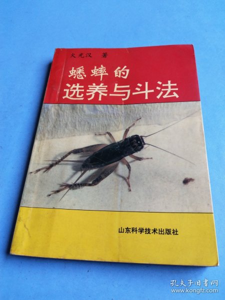蟋蟀的选养与斗法