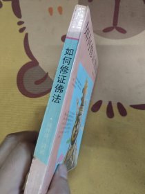 中国神秘文化研究丛书如何修证佛法
