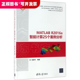 精通MATLAB：MATLAB R2016a智能计算25个案例分析