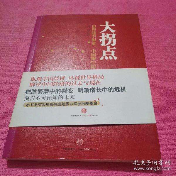 大拐点：世界经济裂变，中国路在何方？