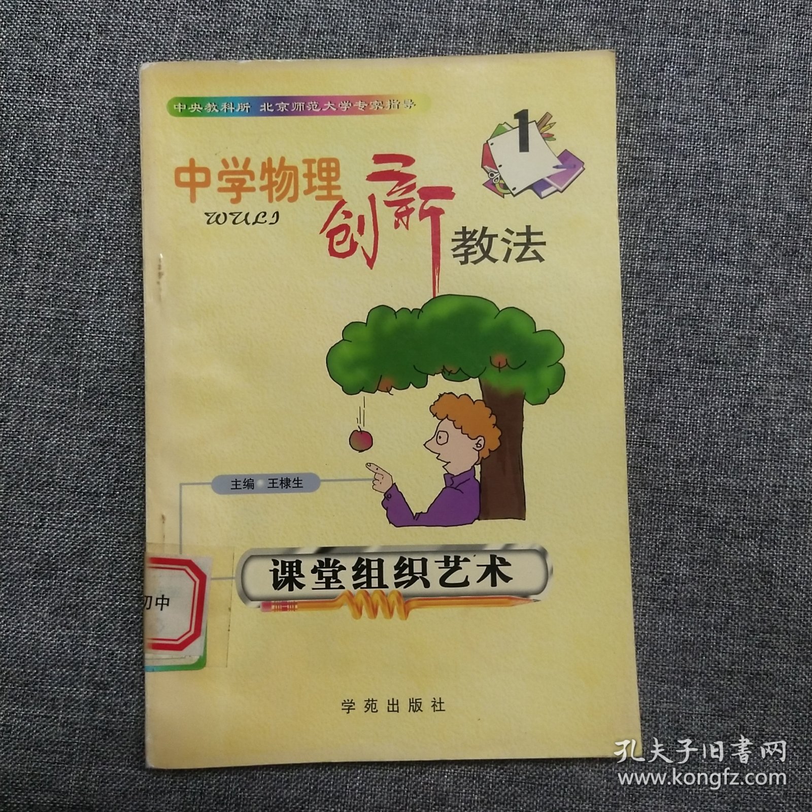 正版 中学物理创新教法 课堂组织艺术