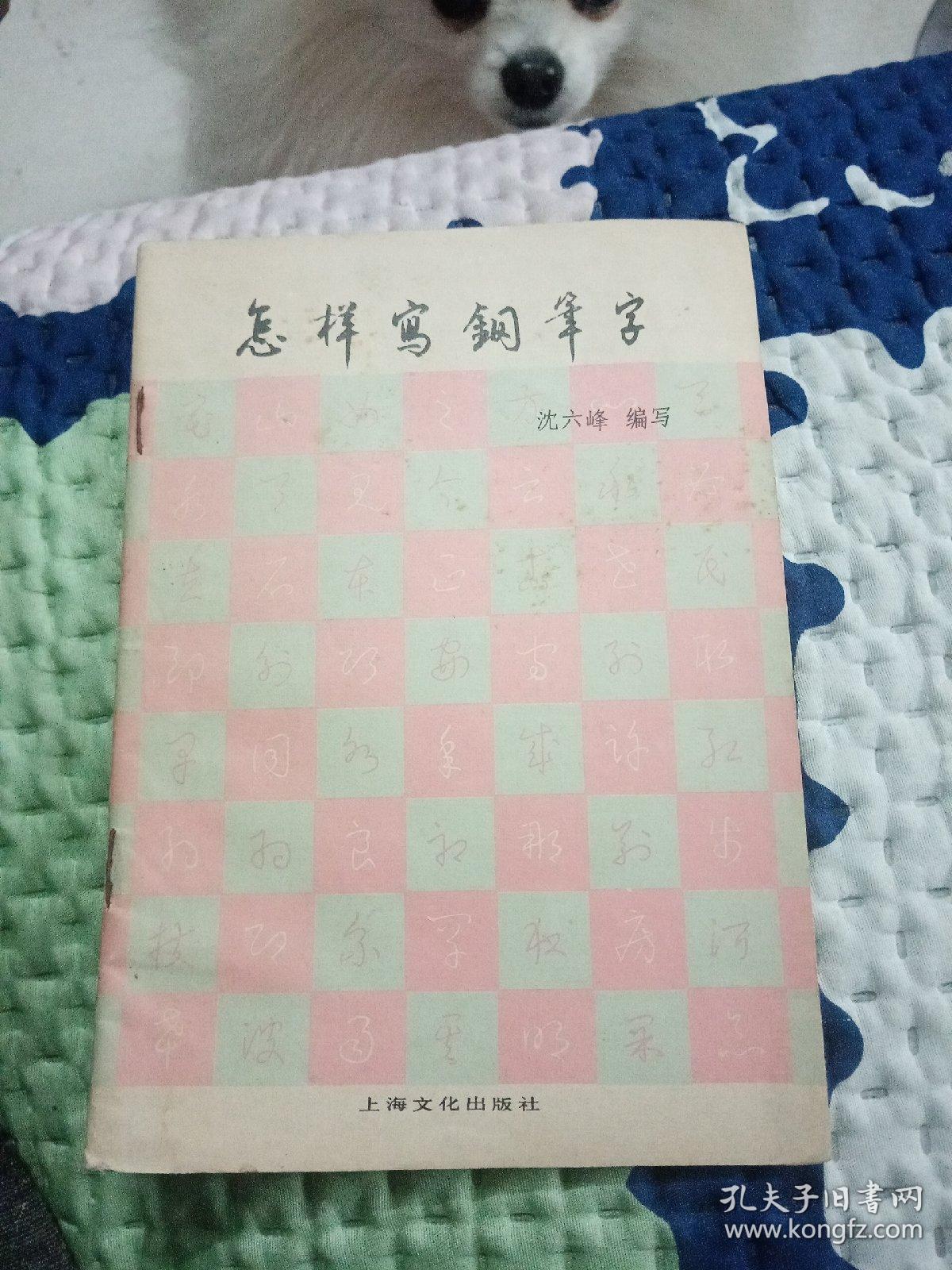 怎样写钢笔字