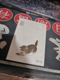 怎样画猫 【 1988年 1版 印、品相不错 ）