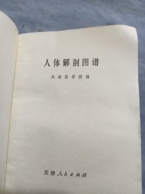 天津医学院人体解剖图一厚本。