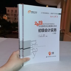 2019年会计专业技术资格考试应试指导及全真模拟测试·初级会计实务（上下册）