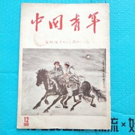 中国青年 1955年第12期