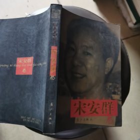 广西当代作家丛书宋安群卷