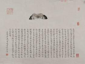 【管峻】精品折枝花卉《后赤壁赋》一幅，43厘米//65厘米，喜欢的私聊.