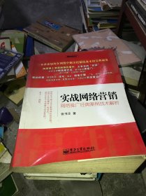 实战网络营销：网络推广经典案例战术解析