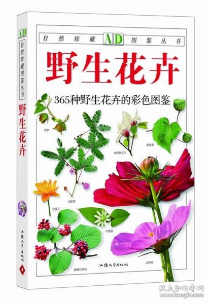 野生花卉：365种野生花卉的彩色图鉴