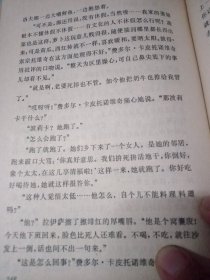 普里亚斯林一家（第一卷 兄弟姐妹、第二卷 两冬三夏）