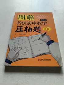 图解名校初中数学压轴题 代数 第2版