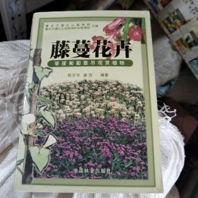 藤蔓花卉