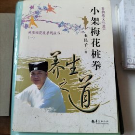 小架梅花桩拳：养生之道