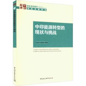 中印能源转型的现状与挑战 经济理论、法规 王永中 等 新华正版