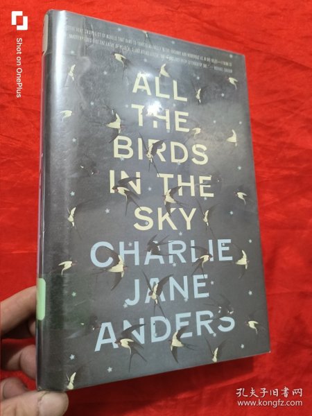 All the Birds in the Sky （16开，精装）