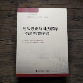 刑法修正与司法解释中的新型问题研究