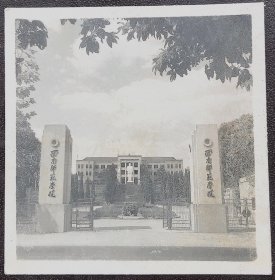 老照片，七十年代，西南师范学院