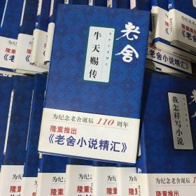 老舍小说精汇21册全
