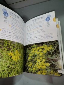 中草药实用图典