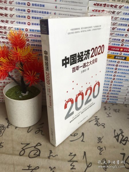 中国经济2020