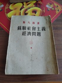苏联社会主义经济问题