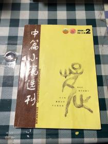 中篇小说选刊2006 2