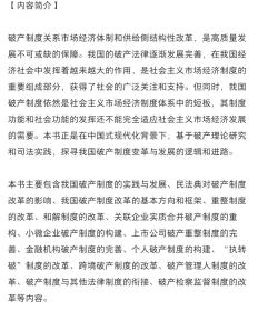 正版2023新书 中国破产制度的现代化变革与发展 王辉 人民法院出版社