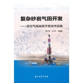 复杂砂岩气田开发——涩北气田高效开发技术实践