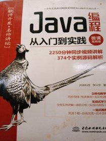 Java编程从入门到实践（微课视频版）