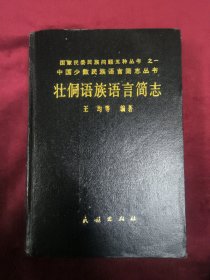 壮侗语族语言简志