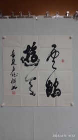 盧兆祥書(shū)法（云鶴游天）2024