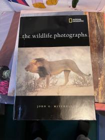 美国发货 国家地理专题 野生动物摄影the wildlife photographs