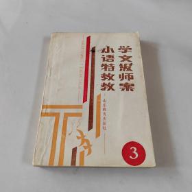 小学语文特级教师教案 3