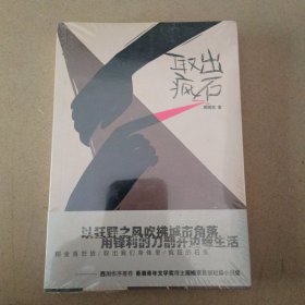 取出疯石（西川作序推荐；文学新人类周婉京的“酷”小说合集；取出我们脑袋里疯狂的石头！）