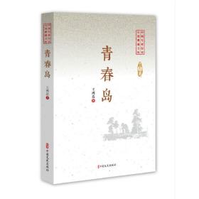 青春岛/中国专业作家小说典藏文库