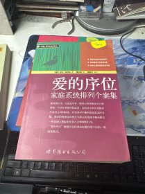 爱的序位：家庭系统排列个案集