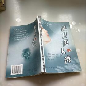 风月美人湾:现代情感小说