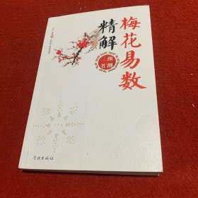 梅花易数精解