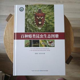 百种蝽类昆虫生态图册