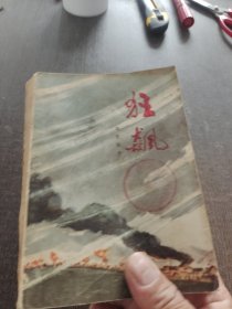 狂飙.邱坦聪