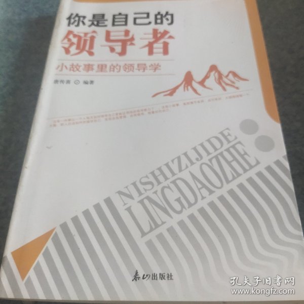 你是自己的领导者:小故事里的领导学