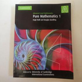 Pure Mathematics Hugh Neill And Douglas Quadling