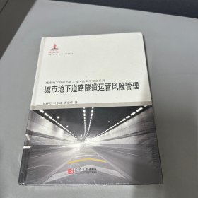 城市地下空间出版工程·防灾与安全系列：城市地下道路隧道运营风险管理