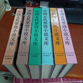 中国古代禁毁小说文库：十二楼 无声戏 ，锦香亭 粉妆楼，情梦柝 金石缘 双凤奇缘，八段锦 国色天香，鸳鸯影 绣球缘 五美缘，五凤吟 八洞天 五色石 等六本合售