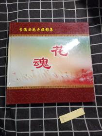 花魂 李德尚花卉攝影集