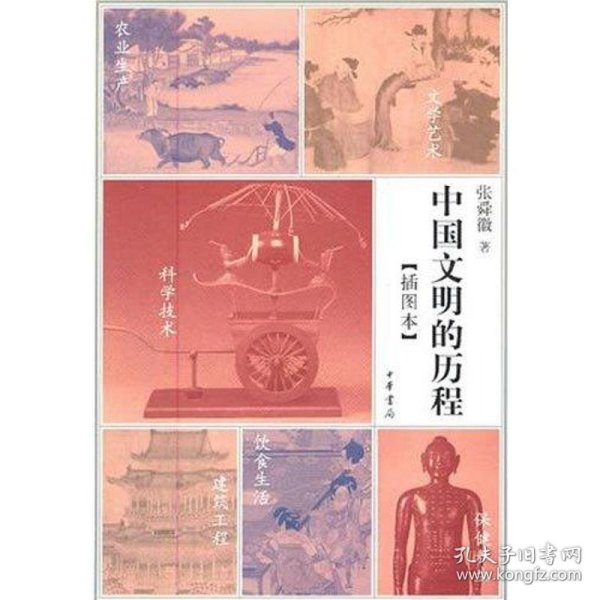中国文明的历程（插图本）