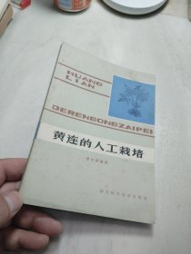 黄连的人工栽培