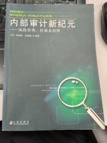 内部审计新纪元：风险管理、控制及治理
