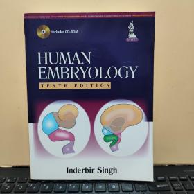 human embryology tenth edition 人体胚胎 第十版（英文图书，带光盘，详细参照书影）客厅2-6